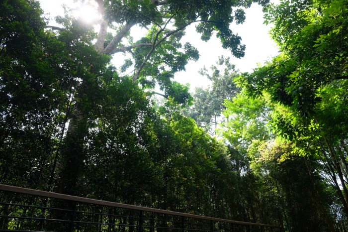 My Little sunshine by K.