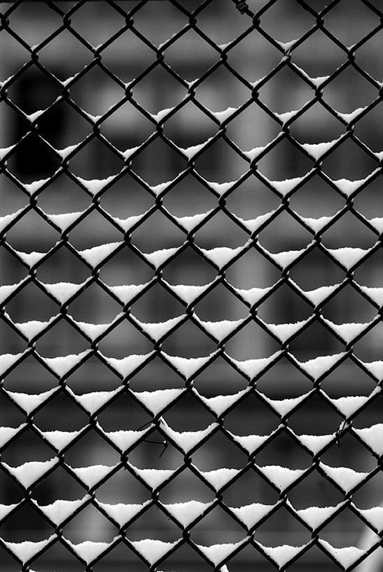 fence by presentandcorrect.com