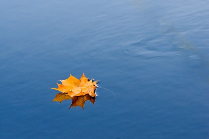 Autumn Meditation by Darus N