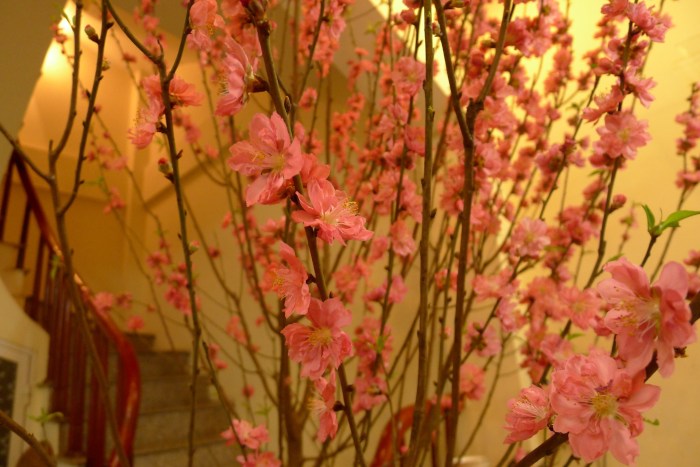 Peace Blossom by KL.