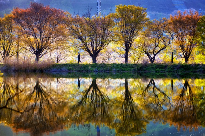 Spring reflection by Jaewoon U