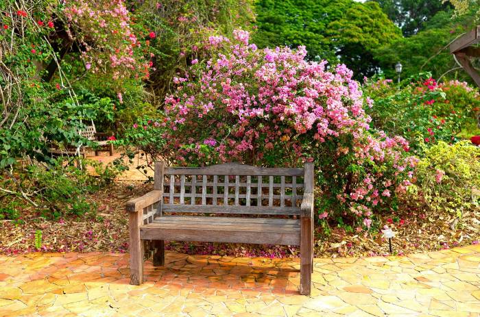 13244242_1715418625393786_6163236795605718893_o