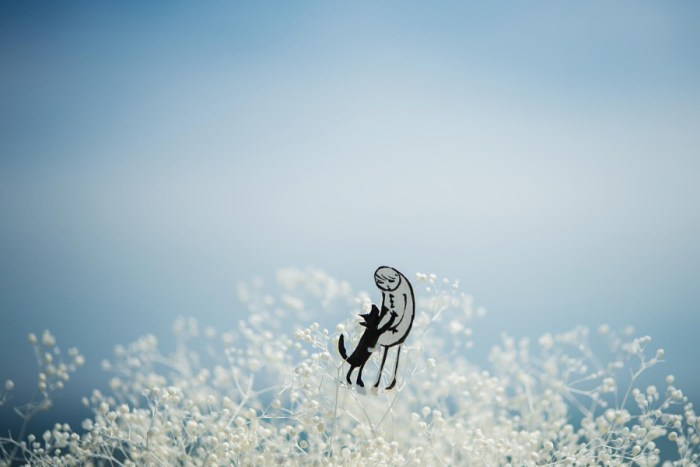 stock-photo-36365332