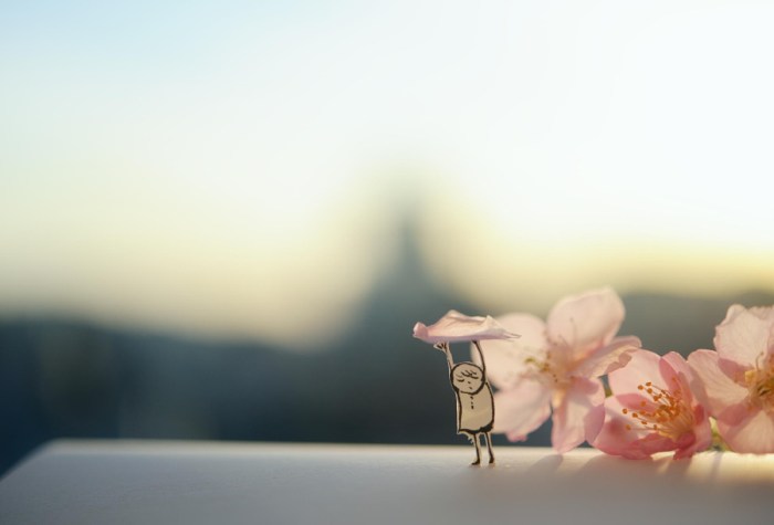 stock-photo-63279831