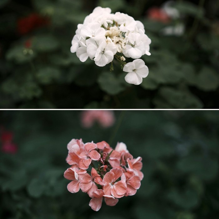 Melancholy by Hai Nguyen