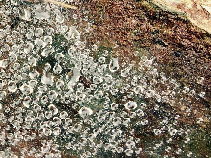 14938311_1099604970155188_5102021125306658874_n