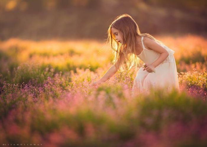 lisa-holloway