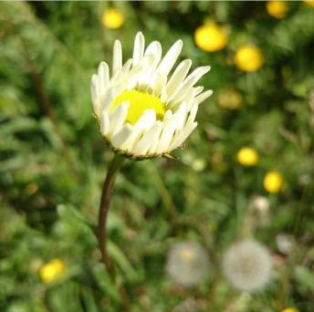 22627754_10155244624698335_752195282_n