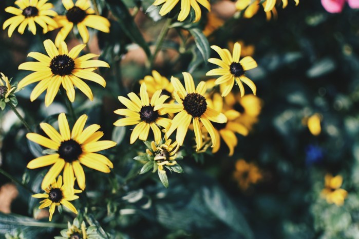 Processed with VSCO with hb2 preset