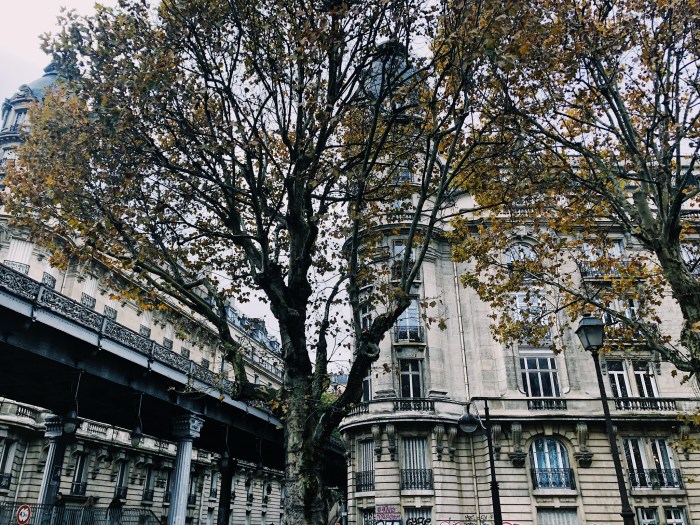 Processed with VSCO with fs4 preset